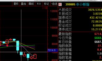 明天股市怎么操作呀