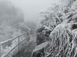 广东第一场雪降临 潮汕最低6 C 更恐怖的是...