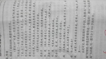 0是什么作文800字