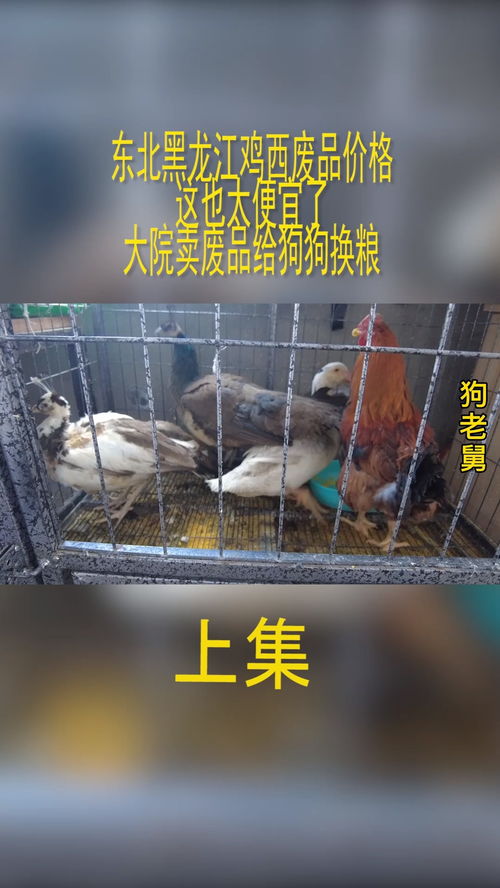 安阳万达附近的废品站在哪