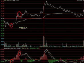 听说被套的股票使用T+0的方法可以尽快解套.