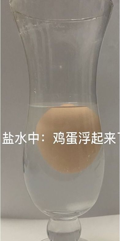 放下手机 树人老师教你在家也能玩科学