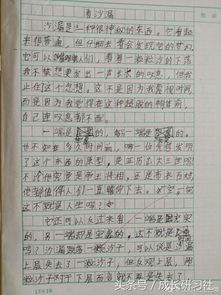 学做藕夹子写作文三百字