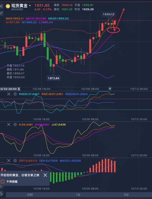 黄乾瑞-分析当天黄金和白银的走势，并提供操作建议