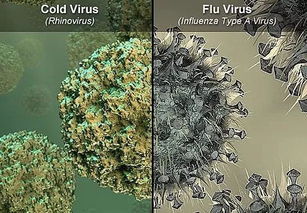 美国流感病毒和中国,美国的传染病能传染到中国吗