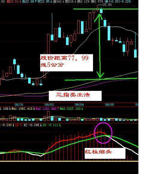 股票出入金的量说明什么