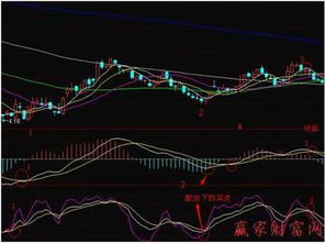 求助一个MACD双金叉的选股公式