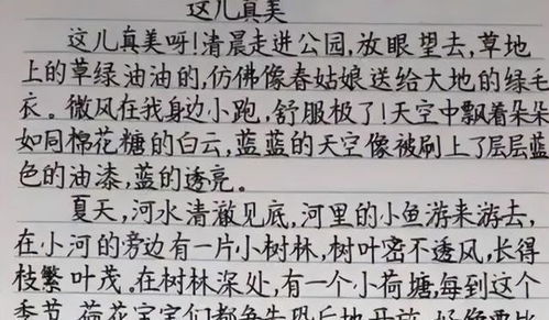 高中生自创 刺猬字体 ,阅卷老师看完感到不适,直言想给0分