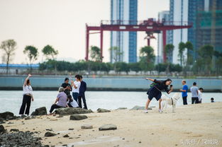 您知道深圳湾公园最近新增了一片沙滩吗 以后来这儿看海也不错 