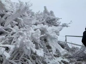 中午零下0.1 梅州第一波冰雪美景到货 今晚记得在屋顶放一碗水
