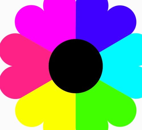 各种颜色代表的意义(玫瑰花各种颜色代表的意义)