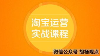 胡杨观点 淘宝卖家新手如何优化宝贝标题