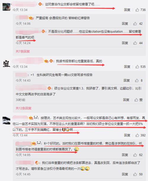 知网和其他查重网站