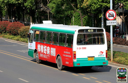 从天河到大观路公交车要怎么坐(天河大观路附近免费停车场)