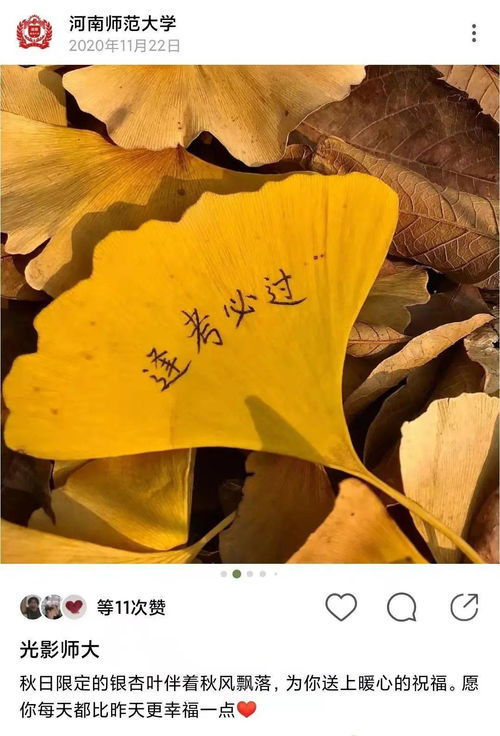 细水长流的爱情励志文案_你的万水千山我的细水长流说说？