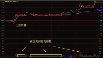 不知碰到什么，大盘分时图曲线波动特别小，怎么调整？