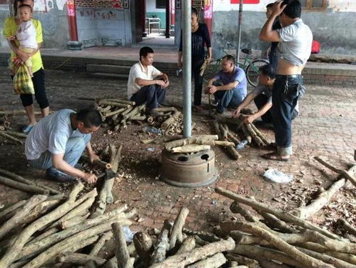 抢料现场气氛紧张 拿着斧头抢料头次见啊