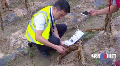 没花一分钱,却得到17万元赔付 历史罕见的特大暴雨后,他 做梦都不敢想的事儿 发生了...