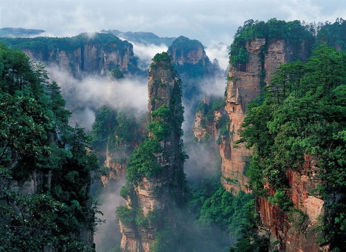 张家界 文明旅游 你我同行 倡议书