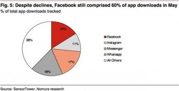 野村 Facebook在应用下载市场上占据主导地位