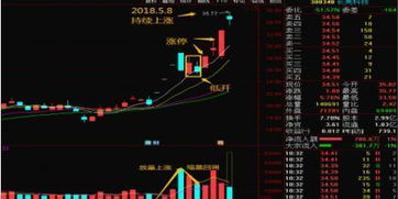 终于涨停了 下午不会有什么大的波动了吧