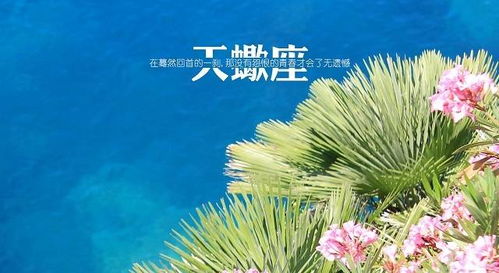 苏珊大妈天蝎座2021年10月运势解析