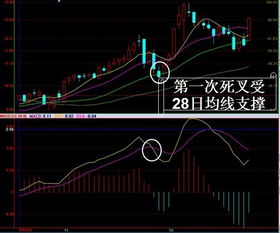 买到一个特别不好的股票 半仓钱都套牢了 而且感觉解套无望 割肉换票 是个好主意吗