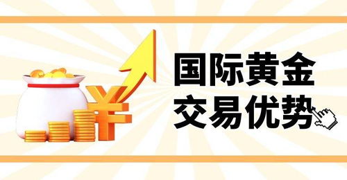 每天的国际金价哪个软件可以看到？