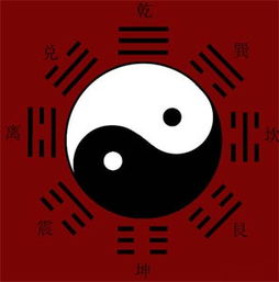 揭秘 中国汉字中最神的八个字都是什么 