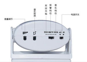 红外热成像检查应归哪个科室?