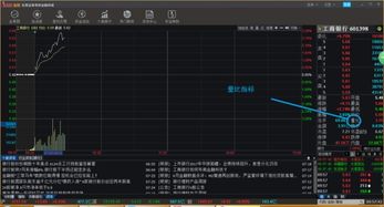 怎么在炒股软件上调出量比指标？