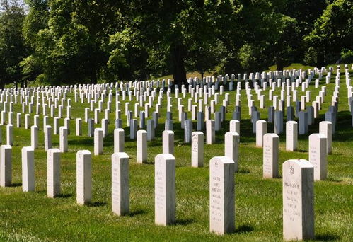 北美最大墓地超负荷运行,负责人 葬礼的预约排到了一个月以后