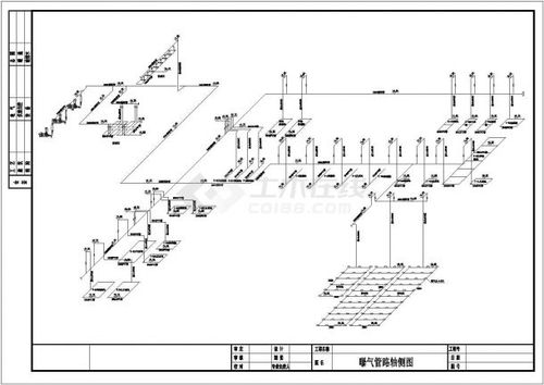 某公司自主设计曝气管路轴测全套图纸