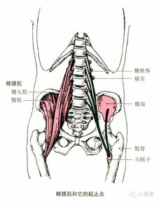 倪妮 vs 李小璐 体态不同气质差太多