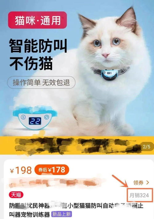 养猫又不让猫叫,戴电击项圈让它见识人间险恶