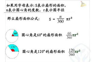 扇形面积公式小学 搜狗图片搜索