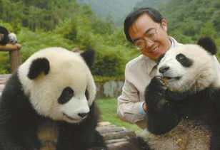 熊猫爸爸 张和民 最大愿望是让 孩子们 回归自然