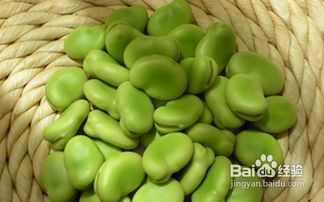 新鲜蚕豆怎样保存 