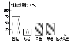 性状分离比的概念