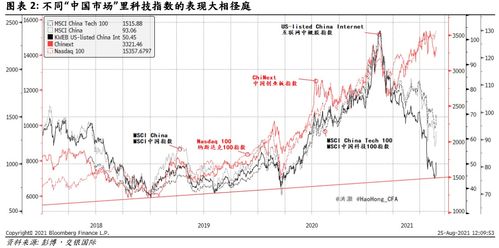 中国股市一共有多少支股票?