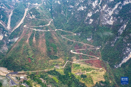 重庆巫山竹贤乡