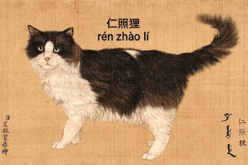 乾隆也太会给猫起名了 现代人只会 咪咪