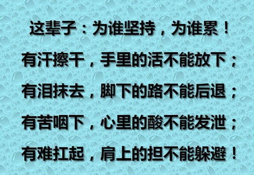 为谁辛苦,为谁忙 为谁拼搏,为谁活 为谁坚持,为谁累