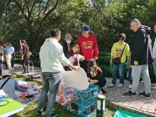 图 上海流浪狗 流浪猫 救助 领 养收养 收容中心基地站 上海宠物狗 