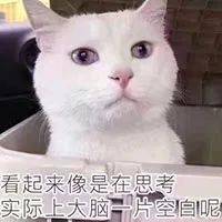 不同品牌的猫粮可以混着吃吗