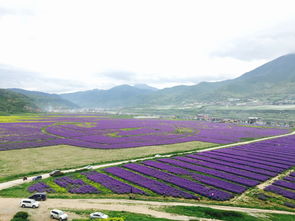 四川最出名的 (四川最出名的山)