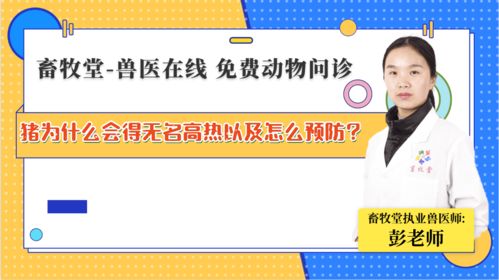 怎样进行有效的高烧不退的护理？