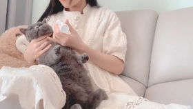 猫,宠物医生有很猛的喂喵星人吃药的方法,这真的是高手中的高手啊