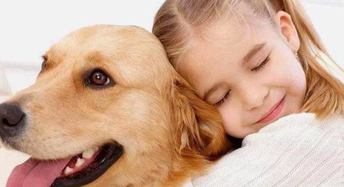 别再说狗狗养不熟了,这7种行为就是狗狗表达爱意的方式