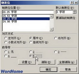 怎样在Word2007中设置制表位选项 